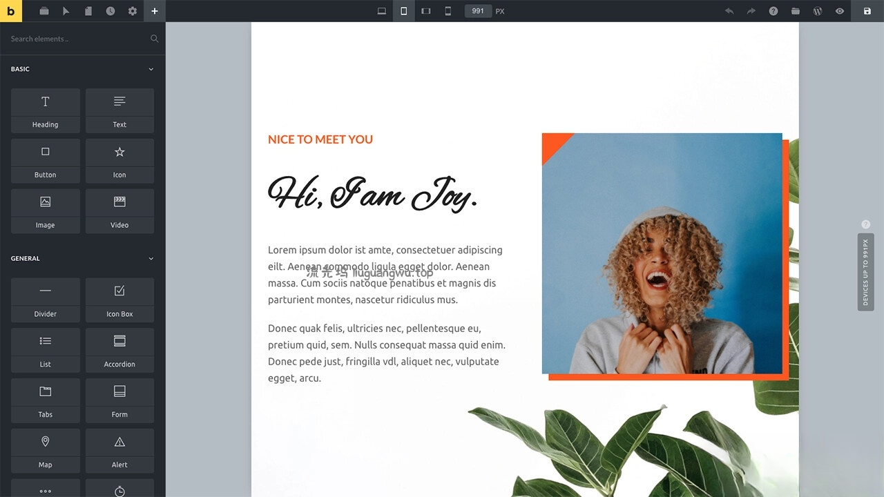 WordPress主题Bricks v1.9 破解版