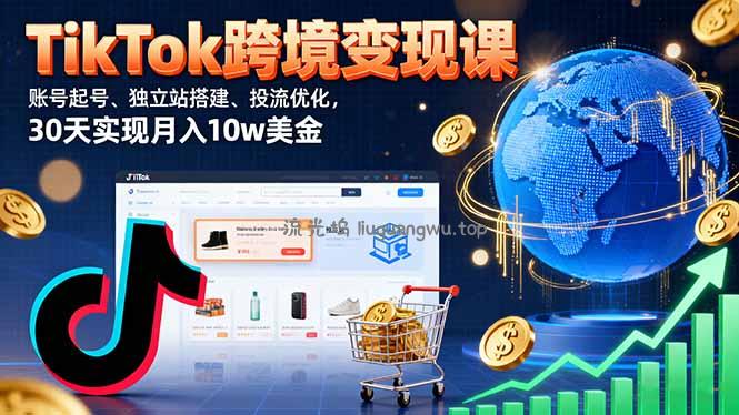 TikTok跨境变现课：账号起号、独立站搭建、投流优化，30天实现月入10w美金