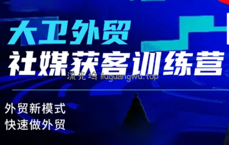 大卫老师·外贸社媒获客独家训练营(更新10月)