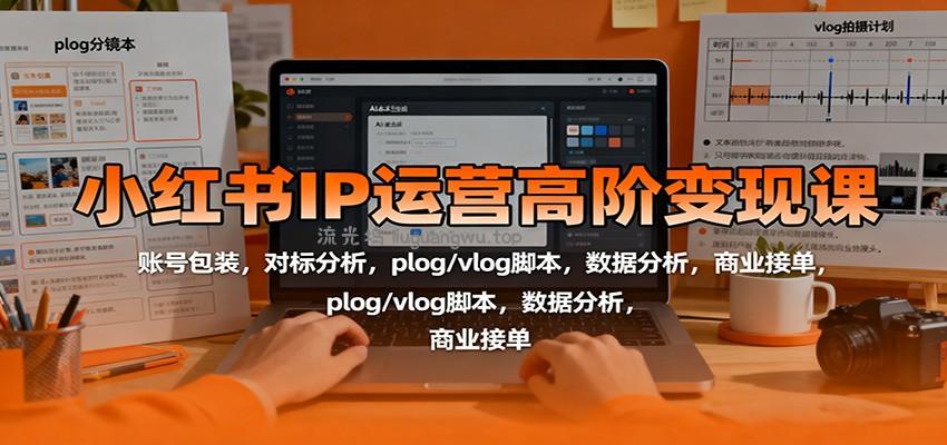 小红书IP运营高阶变现课：账号包装，对标分析，plog/vlog脚本，数据分析，商业接单