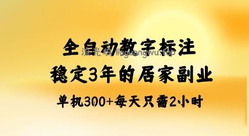 全自动数字标注，稳定3年的蓝海项目，居家也能矩阵开干的副业，单机日入3张+【揭秘】