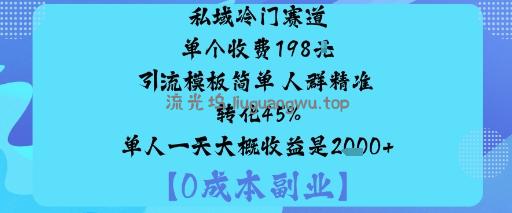 私域冷门赛道:单个收费198米引流模板简单人群精准转化45%单人一天大概收益是1k+