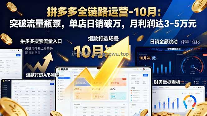 拼多多全链路运营-10月：突破流量瓶颈，单店日销破万，月利润达3-5万元