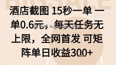 酒店截图项目，15秒一单，一单0.6米，每天任务无上限，全网首发可矩阵单日收益3张+【揭秘】