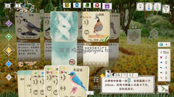 《展翅翱翔/WINGSPAN》PC中文版下载-含v1.7.1134