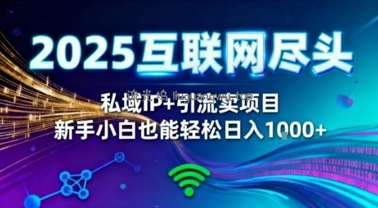 2025网创尽头王炸项目！私域IP+精准引流，新手小白在家躺賺日入1k，零经验也能上手【揭秘】