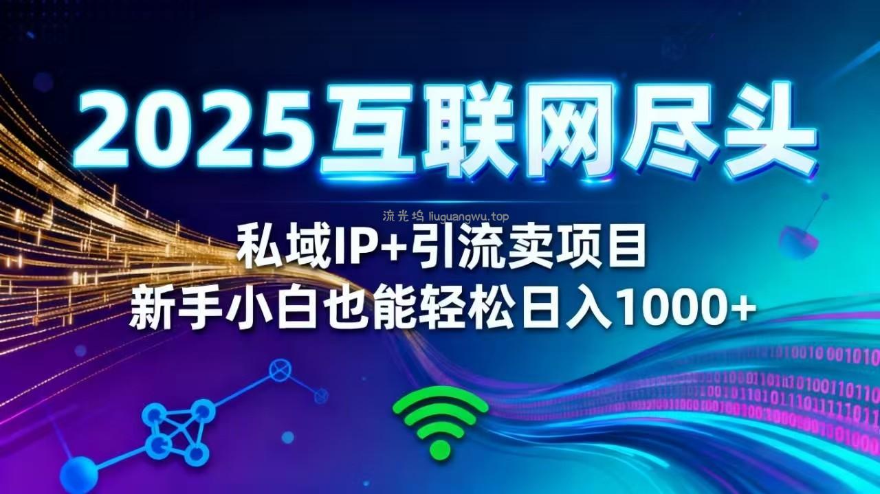 2025网创尽头王炸项目！私域 IP + 精准引流，新手小白在家躺赚日入 1000+
