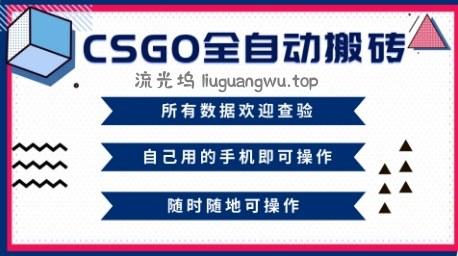 CSGO全自动搬砖，年底钱回家好项目，当天可拿到结果，新手小白轻松月入1W+【揭秘】