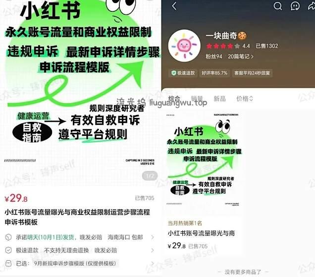 小红书虚拟电商掘金特训营第3期，从0到1带你玩小红书虚拟店铺